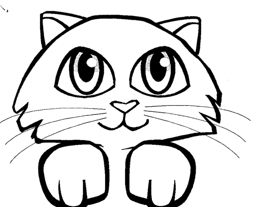 kinderkitten 